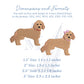 Doodle Dog Set Embroidery Design, Boy and Girl,  4 Sizes Each,  Machine Embroidery Digital File